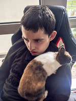 Animaux à la MAS